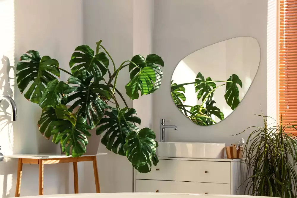 Organické zrcadlo dekorativní závěsné