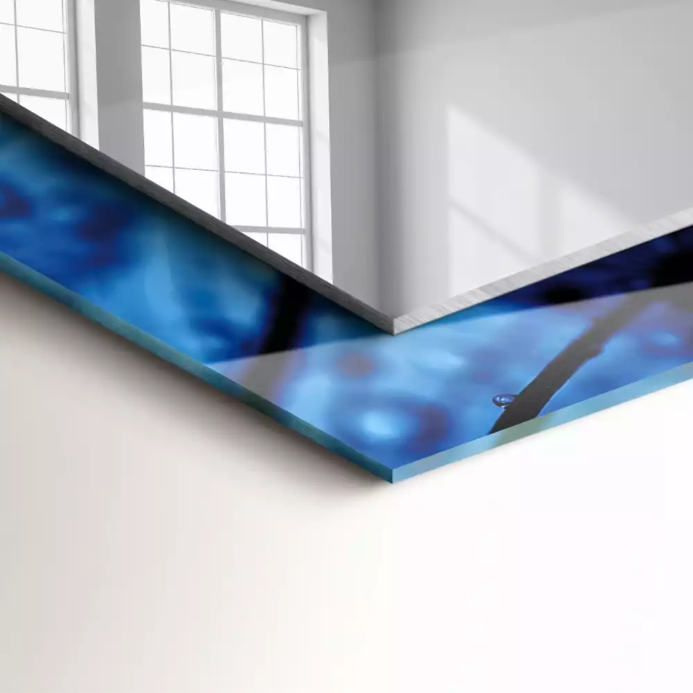 Obdélníkové dekorační zrcadlo Kapky na pampelišky